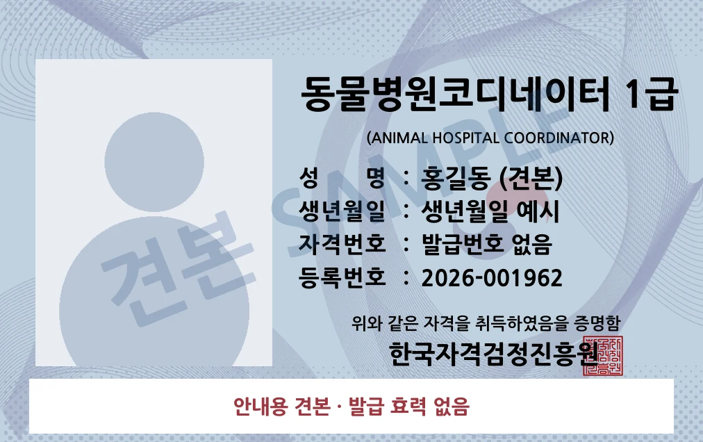 동물병원코디네이터 1급 한국자격검정진흥원 카드형 · 앞면 견본 · 발급 효력 없음