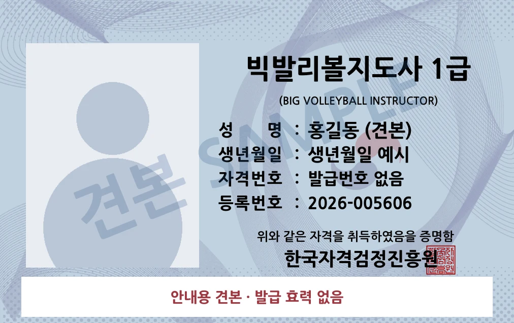 빅발리볼지도사 1급 한국자격검정진흥원 카드형 · 앞면 견본 · 발급 효력 없음
